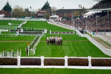 racing tips for cheltenham|Race.
